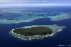 20110425ochi_tonga_1