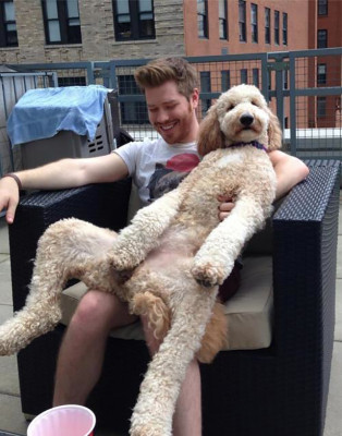 big-dogs-017-07172014