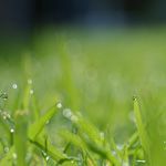 【落ちるンゴ･･･。】巣への着地に失敗して落ちそうになり焦る鷲が可愛いｗ