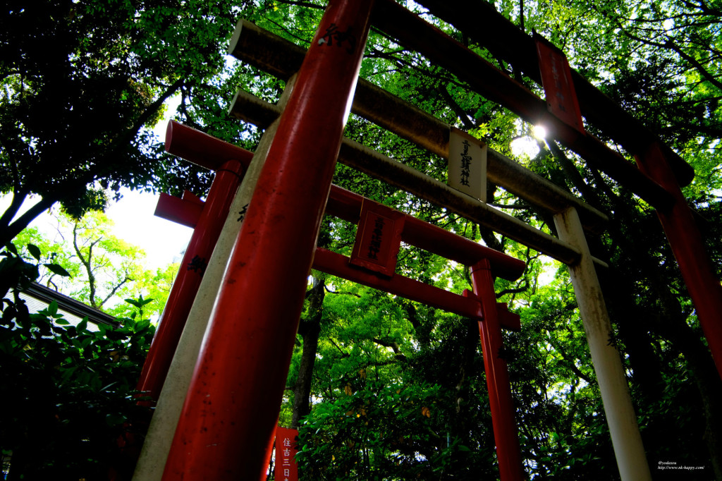 壁紙7鳥居