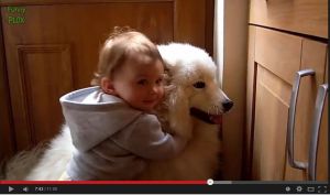 【超癒し動画】犬＋赤ちゃん＝超癒し