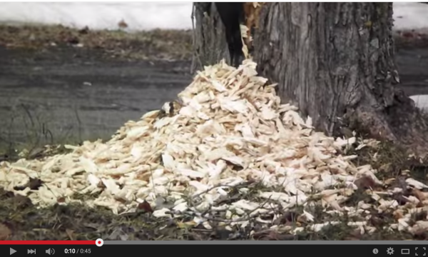 スクリーンショット 2015-05-15 21.45.56