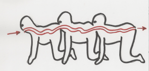 【医学】頭部を体から切り離し他人の体と結合。３６時間の大手術！人は不老不死になれるのか。