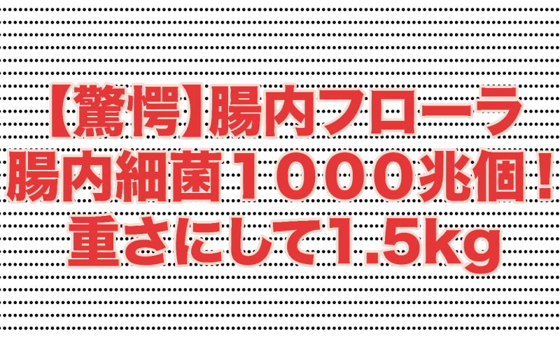 腸内フローラ驚愕の事実！腸内に住む細菌１０００兆個！重さにして1.5kg