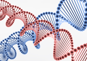 【デザイナーベイビー】中国が世界初ゲノム編集を実施！人の受精卵を遺伝子操作