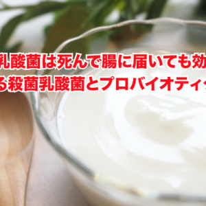 【殺菌乳酸菌】乳酸菌は死んで腸に届いても効果は同じ？ヨーグルトの新常識