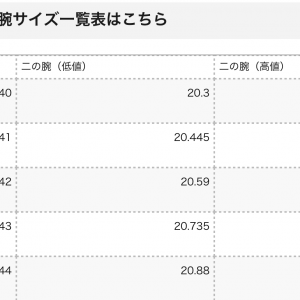 理想的な二の腕のサイズとは？二の腕のサイズには公式がある！？