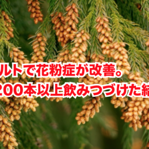 R-1ヨーグルトで花粉症が改善。5年間で1200本以上飲みつづけた結果レポート