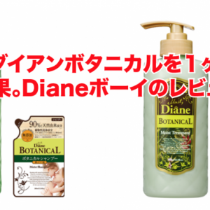 モイストダイアンボタニカルを１ヶ月使った効果と結果。Dianeボーイのレビュー