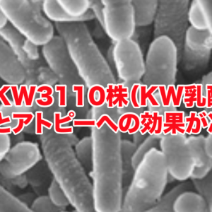 乳酸菌KW3110株（KW乳酸菌）の花粉症とアトピーへの効果が凄い