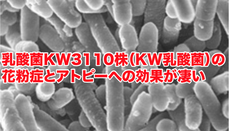 乳酸菌KW3110株（KW乳酸菌）の花粉症とアトピーへの効果が凄い