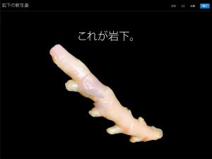 岩下の新生姜をiPhoneのサイト風にしてみた