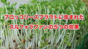 ブロッコリースプラウト含まれたスルフォラファンの５つの効果