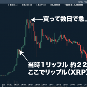 【自分を殴りたい】リップル（XRP）で大損した体験談